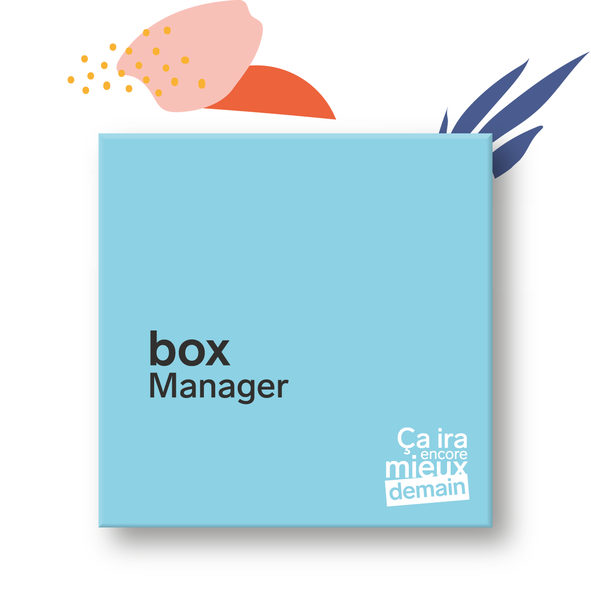 boxManager fleurs trans