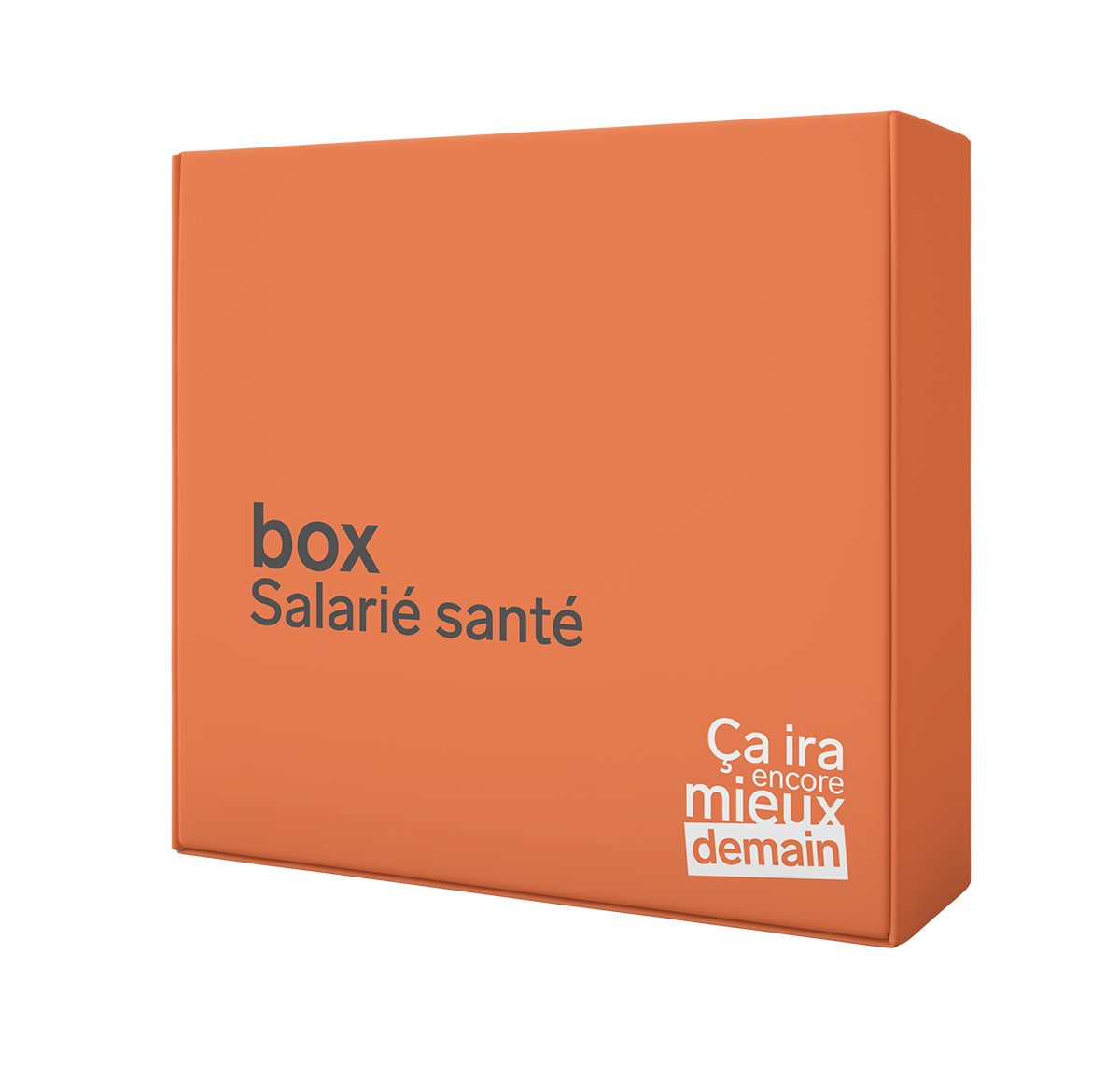 boxSalarie 3d trans copie